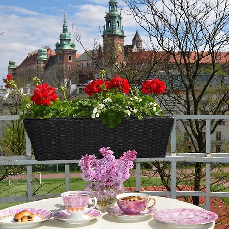Castle View Boutique Apartment Krasków Eksteriør bilde