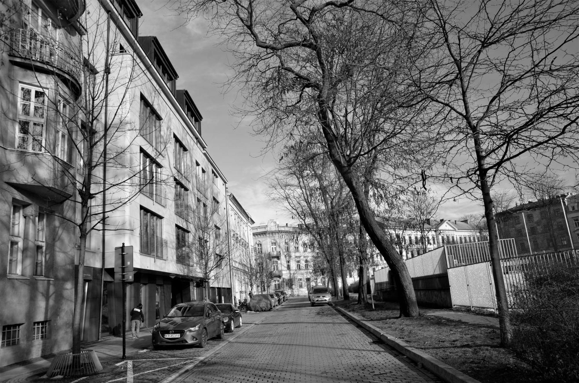 Castle View Boutique Apartment Krasków Eksteriør bilde