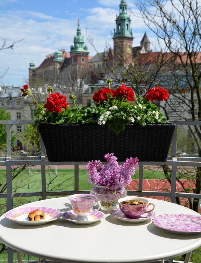 Castle View Boutique Apartment Krasków Eksteriør bilde